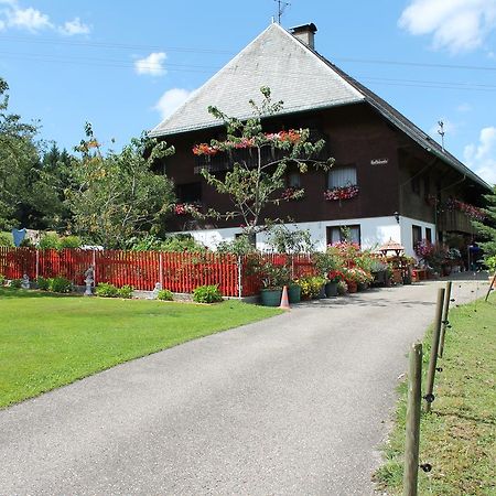 Ferienwohnung Schwarzwaldhof Titisee-Neustadt Exterior photo