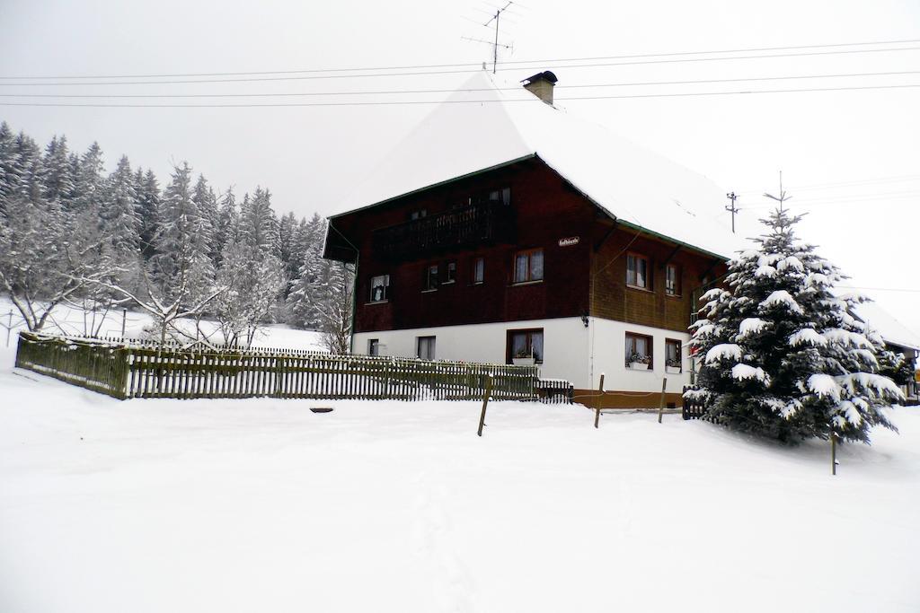 Ferienwohnung Schwarzwaldhof Titisee-Neustadt Exterior photo